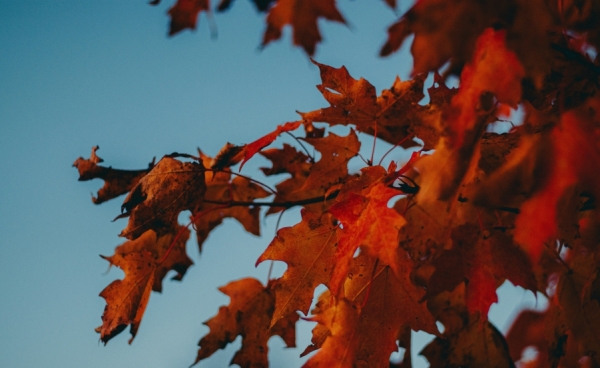 Осенние законы